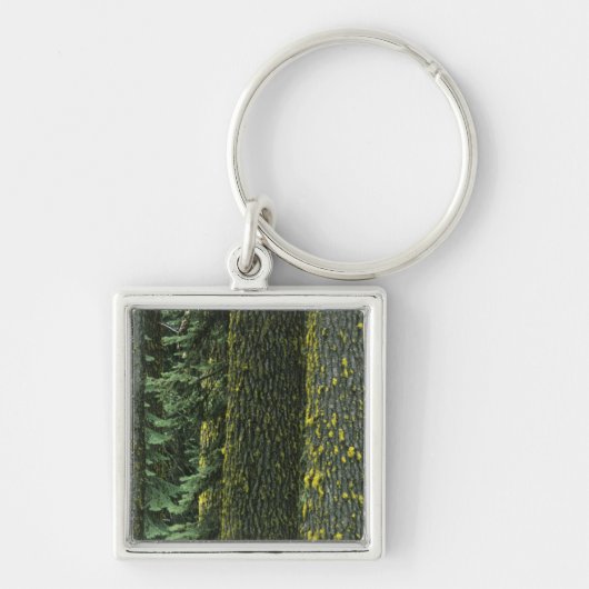 Mt. Ashland, Rogue RIver Nationaal bos, Sleutelhanger (Voorkant)