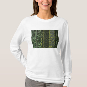 Mt. Ashland, Rogue RIver Nationaal bos, T-shirt