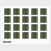 Mt. Ashland, Rogue RIver Nationaal bos, Vierkante Sticker (Vel)