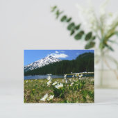 Mt Bachelor en Wildbloemen 1 Briefkaart (Staand voorkant)