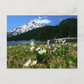 Mt Bachelor en Wildbloemen 1 Briefkaart (Voorkant)