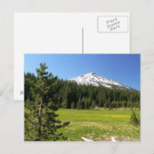 Mt Bachelor & Firs Briefkaart (Voorkant / Achterkant)