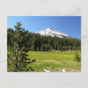 Mt Bachelor & Firs Briefkaart