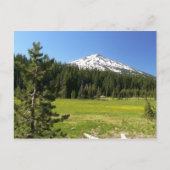 Mt Bachelor & Firs Briefkaart (Voorkant)