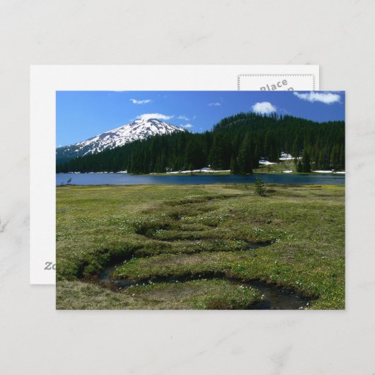 Mt Bachelor & Snake Creek Briefkaart (Voorkant / Achterkant)