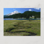 Mt Bachelor & Snake Creek Briefkaart (Voorkant)