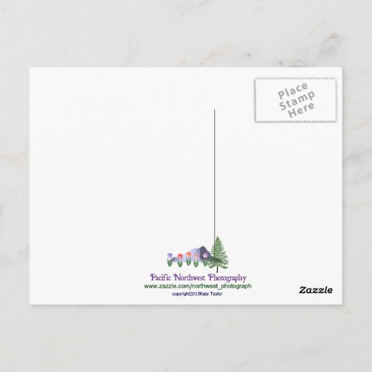 Mt Baker in juli Briefkaart (Achterkant)