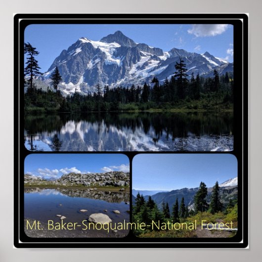 Mt. Baker-Snoqualmie National Forest Collage Poste Poster (Voorkant)