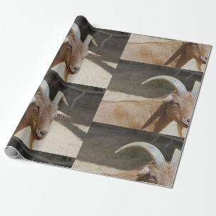 Mt.Bill Cadeaupapier