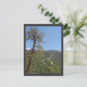 Mt Charleston Briefkaart (Staand voorkant)