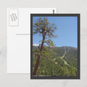 Mt Charleston Briefkaart (Voorkant / Achterkant)