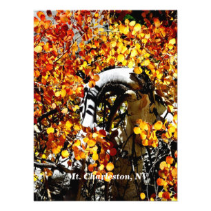Mt. Charleston NV Autumn Aspen Photo Print Foto Afdruk