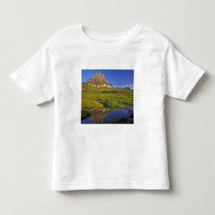 Mt Clements weerspiegelt zich in een klein bassin Kinder Shirts
