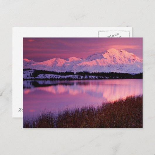 Mt. Denali, zonsondergang van Reflection Pond Briefkaart (Voorkant / Achterkant)