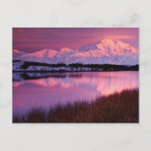 Mt. Denali, zonsondergang van Reflection Pond Briefkaart (Voorkant)
