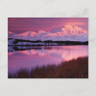 Mt. Denali, zonsondergang van Reflection Pond Briefkaart