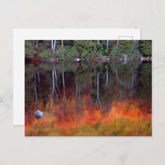 Mt. Desert Island | Nationaal park Acadia, Maine Briefkaart (Voorkant / Achterkant)