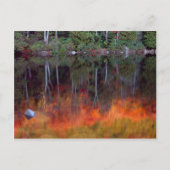 Mt. Desert Island | Nationaal park Acadia, Maine Briefkaart (Voorkant)