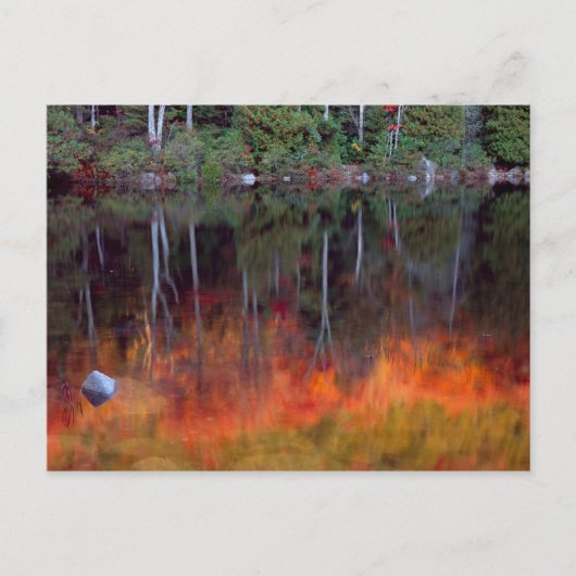 Mt. Desert Island | Nationaal park Acadia, Maine Briefkaart (Voorkant)