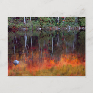 Mt. Desert Island   Nationaal park Acadia, Maine Briefkaart