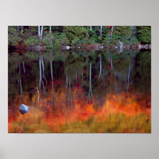 Mt. Desert Island | Nationaal park Acadia, Maine Poster (Voorkant)