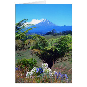 Mt.Egmont/Taranaki