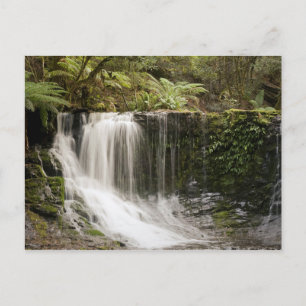 Mt. Field National Park HERFST HOEFIJZER Briefkaart
