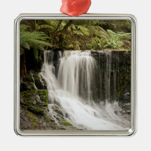 Mt. Field National Park Herfst Hoefijzer Metalen Ornament