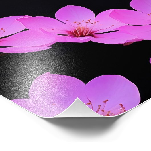 Mt. Fuji Cherry Blossom Landschapskunst Print Foto Afdruk (Hoek)