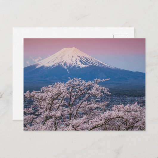 Mt Fuji en Cherry Blossom Briefkaart (Voorkant / Achterkant)