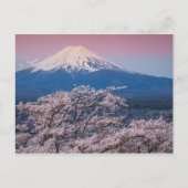 Mt Fuji en Cherry Blossom Briefkaart (Voorkant)