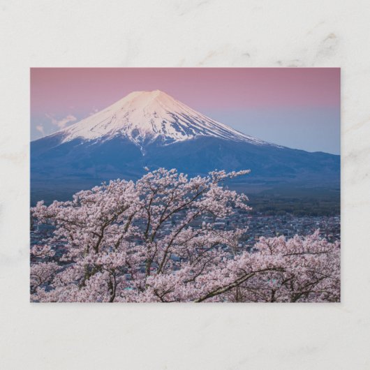 Mt Fuji en Cherry Blossom Briefkaart (Voorkant)