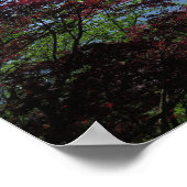 Mt Fuji Japan Poster (Hoek)