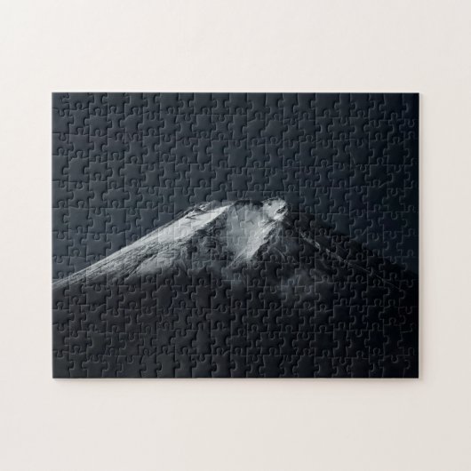 Mt. Fuji Legpuzzel (Horizontaal)