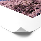 Mt Fuki met Sakura Poster (Hoek)