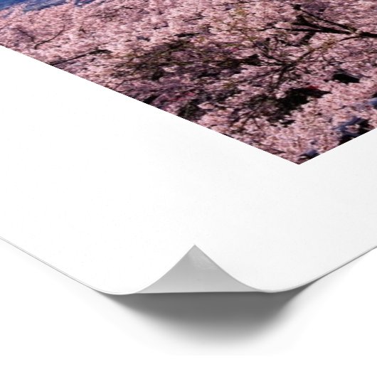 Mt Fuki met Sakura Poster (Hoek)