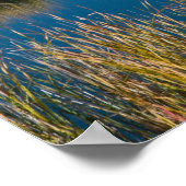 Mt. Garfield Seen van Riverbend Poster (Hoek)