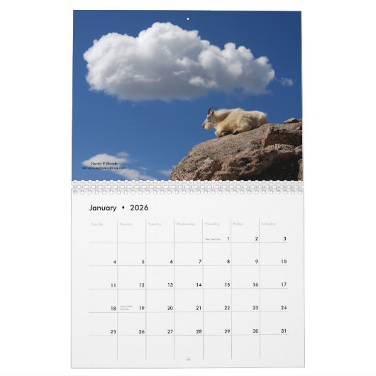 Mt Goats on Mt Evans, Colorado Kalender (Jan 2026)