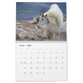 Mt Goats on Mt Evans, Colorado Kalender (Mar 2027)