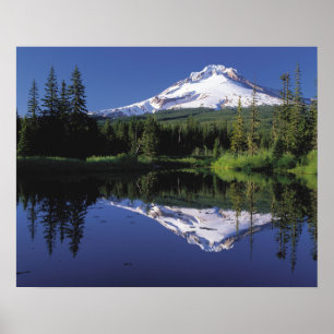 Mt. Hood en een spiegelmeer Poster