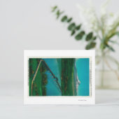 Mt. Hood en Interstate Bridge in White Salmon Briefkaart (Staand voorkant)