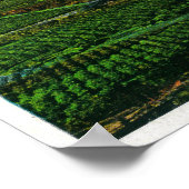 Mt. Hood from Hood River ValleyHood River, OR Poster (Hoek)