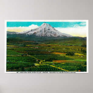 Mt. Hood from Hood River ValleyHood River, OR Poster