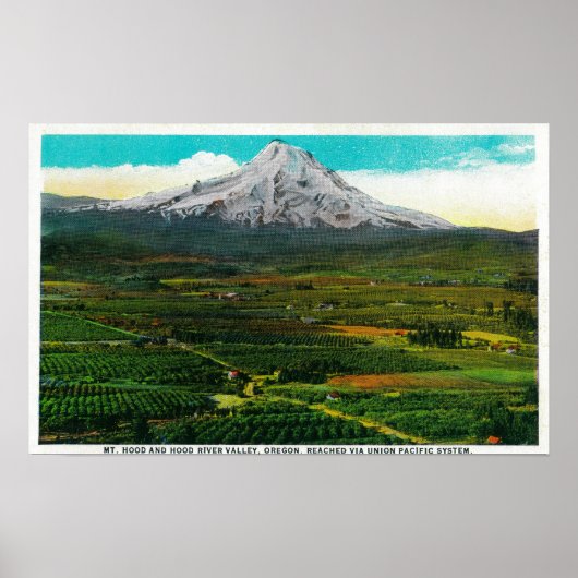 Mt. Hood from Hood River ValleyHood River, OR Poster (Voorkant)