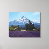 Mt Hood Lavender Fields Canvas Afdruk (Voorkant)
