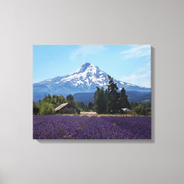 Mt Hood Lavender Fields Canvas Afdruk