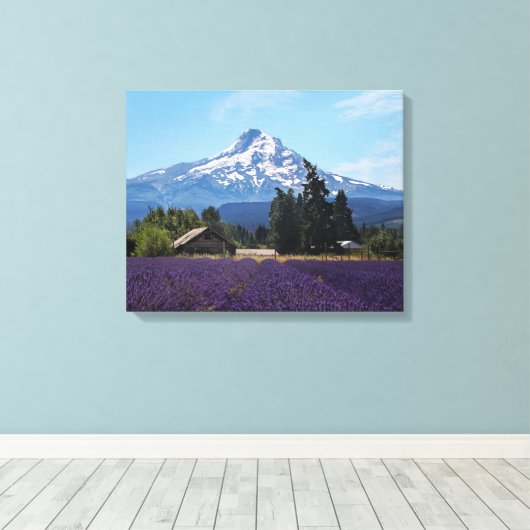 Mt Hood Lavender Fields Canvas Afdruk (Insitu (Houten vloer))