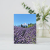 Mt Hood Oregon  Briefkaart (Staand voorkant)
