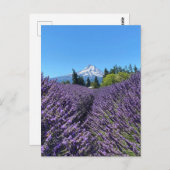 Mt Hood Oregon  Briefkaart (Voorkant / Achterkant)