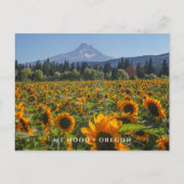 Mt Hood | Oregon Briefkaart (Voorkant)